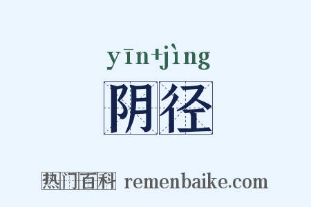 阴径是什么意思的图片